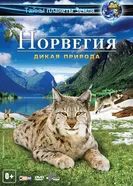 Постер Норвегия 3D: Дикая природа 2013