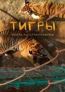 Постер Тигры: Охота на браконьеров 2020