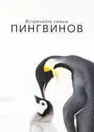 Постер Встречайте семью пингвинов 2020
