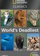 Постер National Geographic: Самые опасные животные 2007