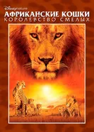 Постер Африканские кошки: Королевство смелых 2010