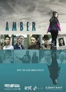 Постер Эмбер 2014