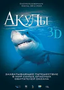 Постер Акулы 3D 2004