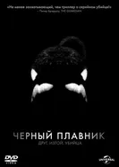 Постер Черный плавник 2013