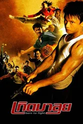Постер Рожденный сражаться 2004