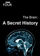 Постер The Brain: A Secret History