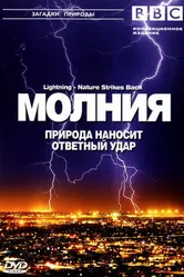 Постер BBC: Молния. Природа наносит ответный удар 2004
