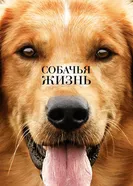 Постер Собачья жизнь 2017