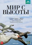 Постер BBC: Мир с высоты птичьего полета 2011