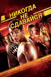 Постер Никогда не сдавайся 2008