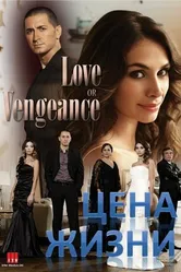 Постер Цена жизни 2009