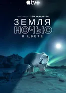 Постер Земля ночью в цвете 2020