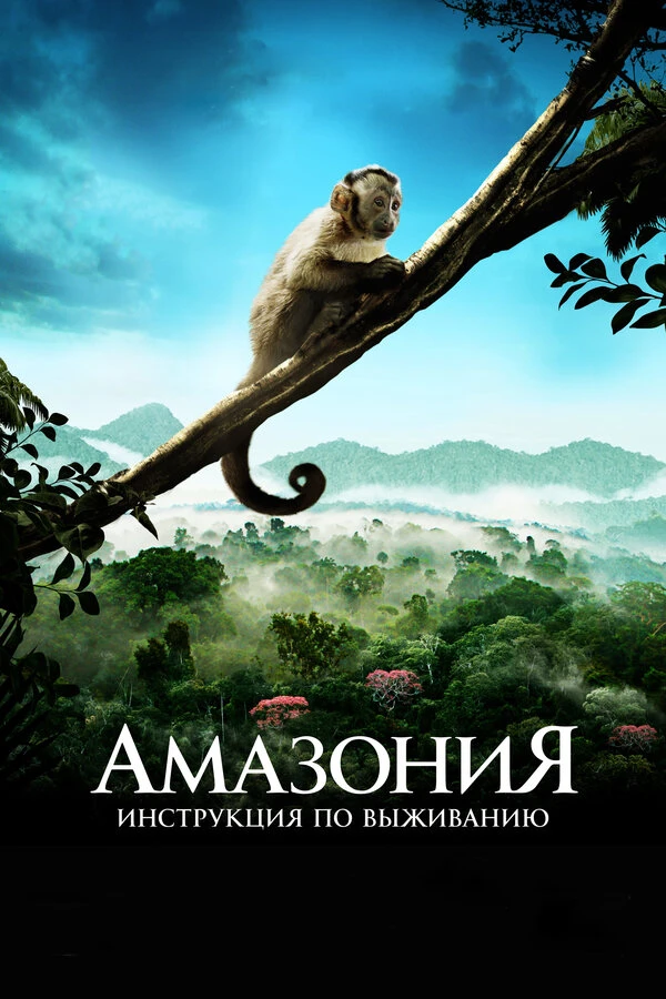 Амазония: Инструкция по выживанию 2013 постер
