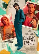 Постер Contando ovejas