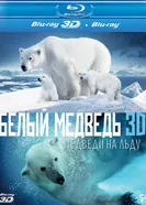 Постер Полярные медведи 2012