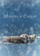 Постер Шпион в снегах 2018