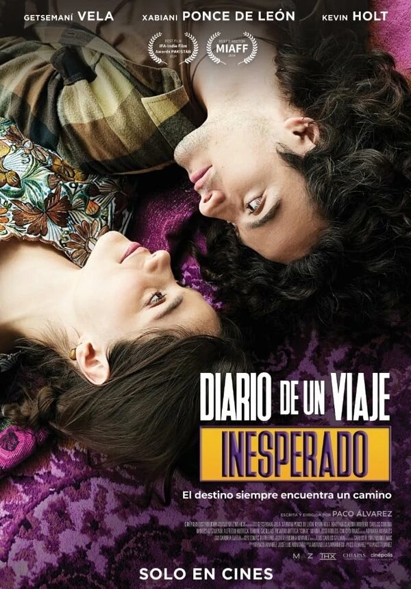 Diary of an unexpected journey постер