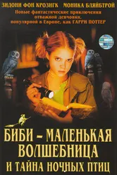 Постер Биби – маленькая волшебница и тайна ночных птиц