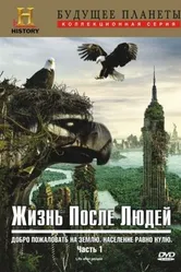 Постер Жизнь после людей 2009