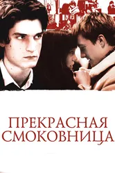 Постер Прекрасная смоковница 2008