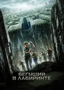 Постер Бегущий в лабиринте 2014