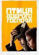 Постер Птица доброго господа 2020
