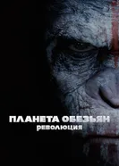 Постер Планета обезьян: Революция