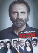 Постер Беглец 2013